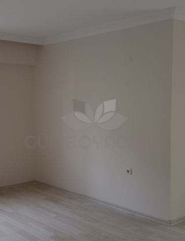 trabzon ev boyama ustası